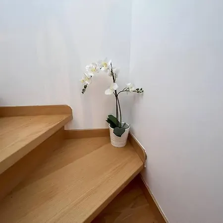 Дом отдыха Casa Alaia *